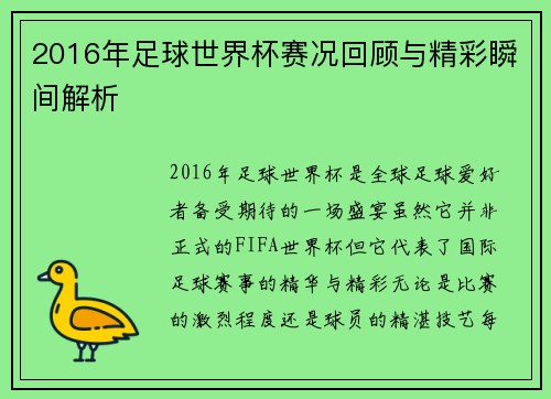 2016年足球世界杯赛况回顾与精彩瞬间解析